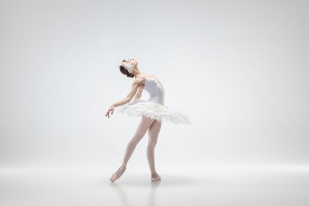 Jonge bevallige ballerina op witte studioachtergrond