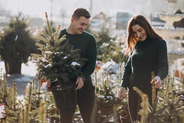 Jonge familie die Kerstmisboom in een serre kiest