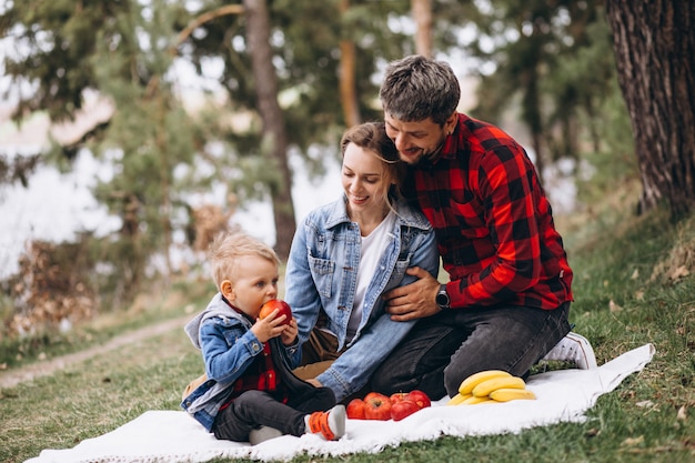 Jonge familie in park dat piscnic heeft