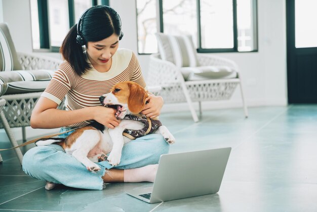 Jonge freelancer aziatische vrouw die online werkt via sociale media met beagle hond met behulp van laptop thuis woonkamer