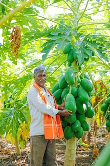 Jonge indiase boer op papaya veld