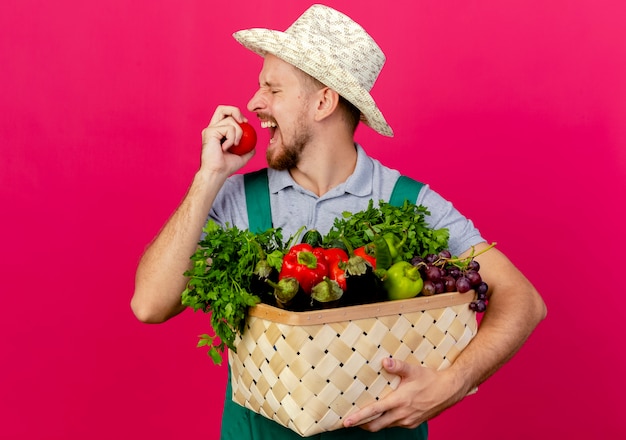 Jonge knappe slavische tuinman in uniform en hoed met mand met groenten klaar om tomaat te bijten geïsoleerd op karmozijnrode muur