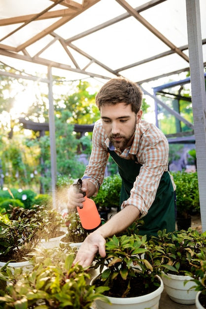 Jonge knappe vrolijke tuinman glimlachen, drenken, planten verzorgen