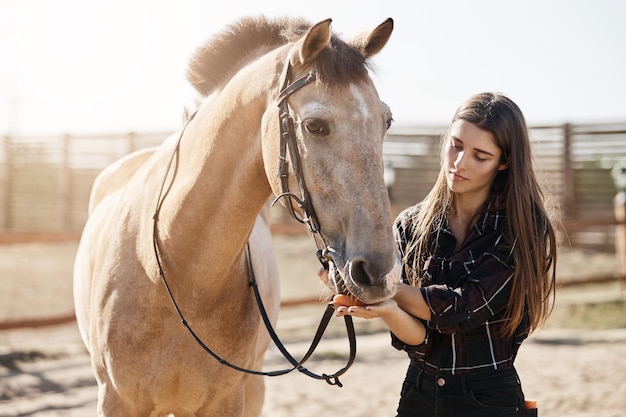 Jonge mooie vrouwelijke hoefsmid die een paard voedt dat zich voorbereidt om de hoeven van een vorm te trimmen