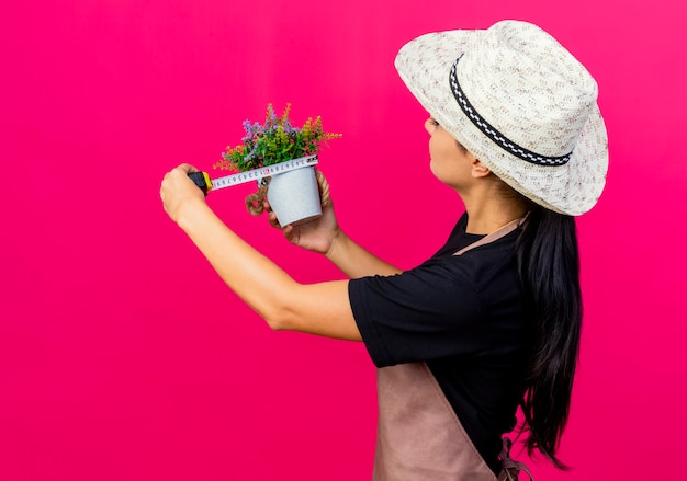 Jonge mooie vrouwentuinman in schort en hoed die potplant en meetlint houdt die met ernstig gezicht meten dat zich over roze muur bevindt