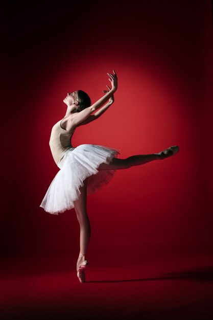 Jonge sierlijke vrouwelijke balletdanser of klassieke ballerina dansen op rode studio.