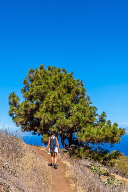 Jonge vrouw bij een drakenboom op het Las Tricias-pad in het noorden van het eiland La Palma
