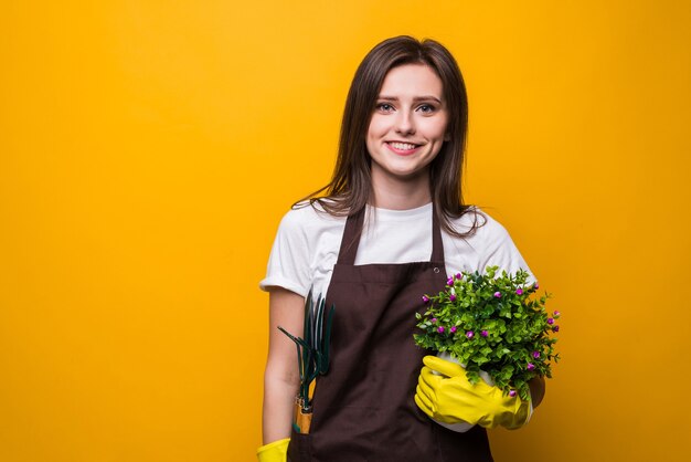 Jonge vrouw die een geïsoleerde plant houdt