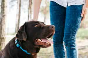 Gratis foto jonge vrouw die een picknick met haar hond doet