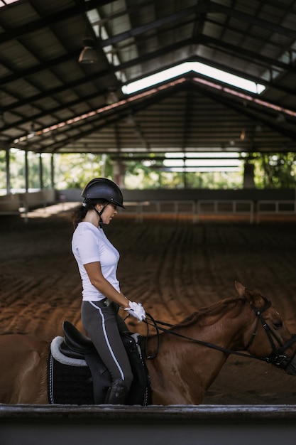 Jonge vrouw traint paardrijden in de arena. Jonge blanke vrouw in formele kleding paardrijden over de zanderige arena. Een stamboompaard voor de paardensport. De sportvrouw op een paard