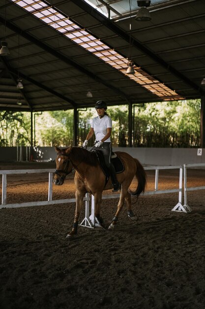 Jonge vrouw traint paardrijden in de arena. Jonge blanke vrouw in formele kleding paardrijden over de zanderige arena. Een stamboompaard voor de paardensport. De sportvrouw op een paard