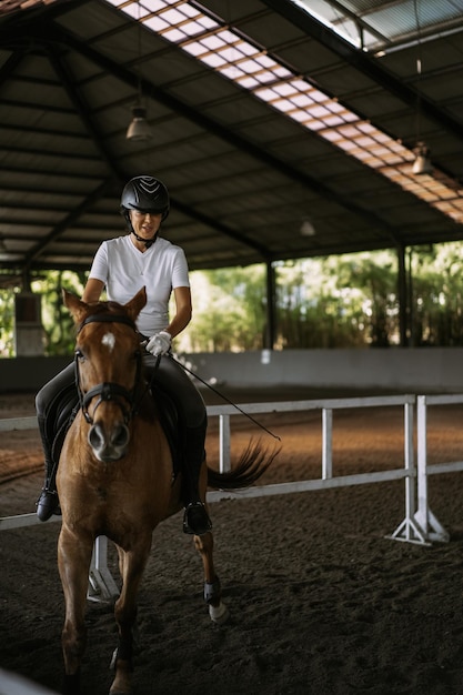 Jonge vrouw traint paardrijden in de arena. Jonge blanke vrouw in formele kleding paardrijden over de zanderige arena. Een stamboompaard voor de paardensport. De sportvrouw op een paard