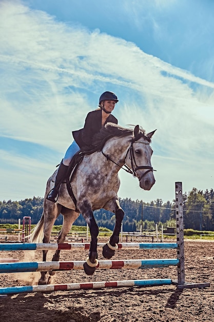 Gratis foto jonge vrouwelijke jockey op vlek grijs paard springen over hindernis in de open arena.