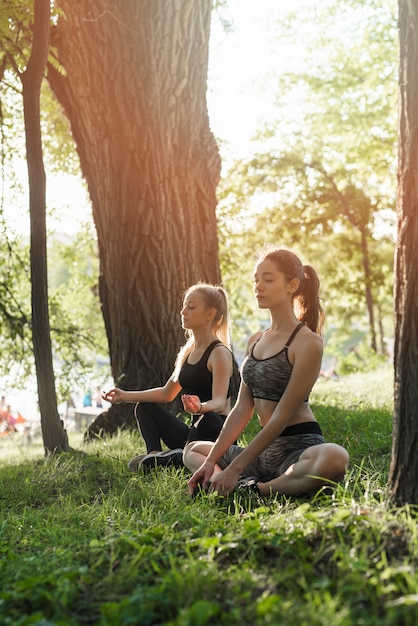 Jonge vrouwen die yoga in het park doen