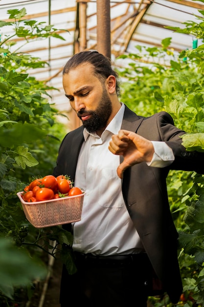 Jonge zakenman met tomaten en gebaar duim naar beneden in de kas