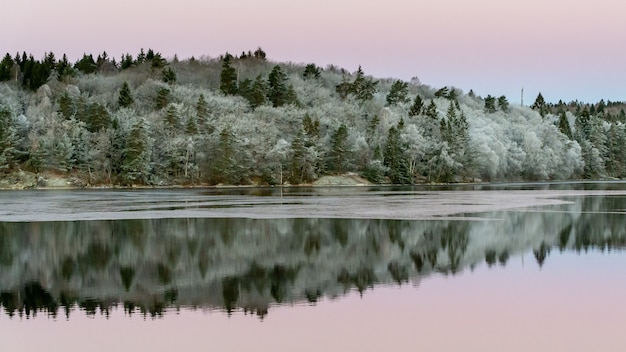 Kalm water en reflecties van bomen en lucht. Mooie stille ochtend bij zonsopgang.