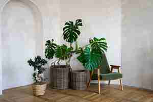 Gratis foto kamerinrichting met monstera plant in pot