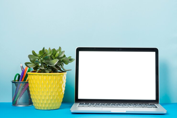 Gratis Foto kantoorbehoeften en plant dichtbij laptop