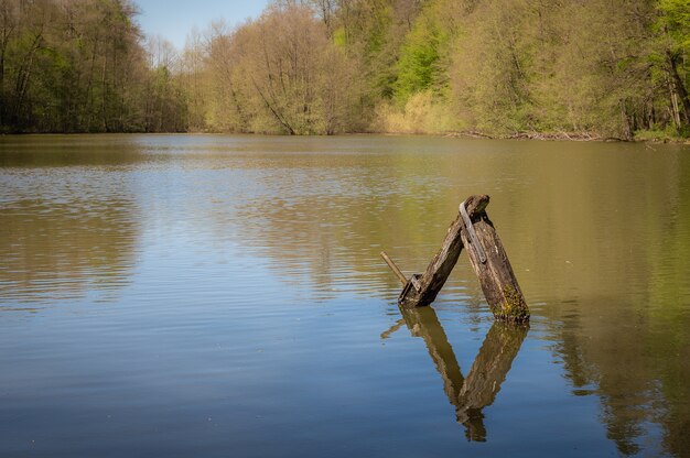 Kapotte regulator in een verborgen Pont