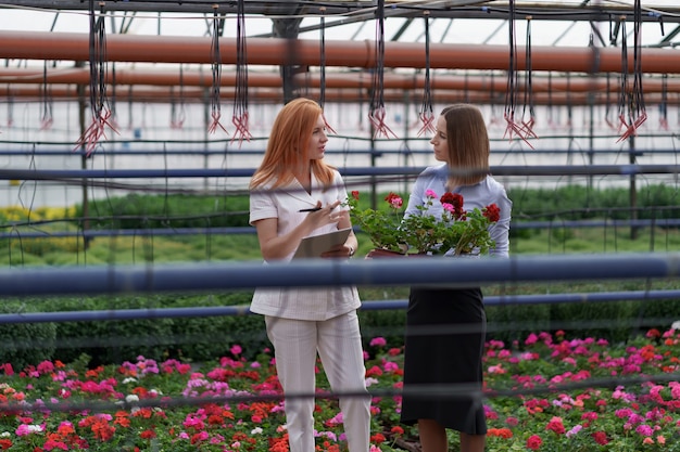 Kaseigenaar presenteert bloemenopties aan een potentiële klantendetailhandelaar.