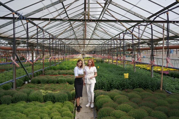 Kaseigenaar presenteert bloemenopties aan een potentiële klantendetailhandelaar.