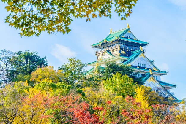 Kasteel van Osaka