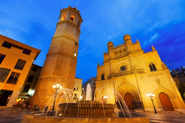 Kathedraal in Castellon de la Plana in de nacht. Spanje