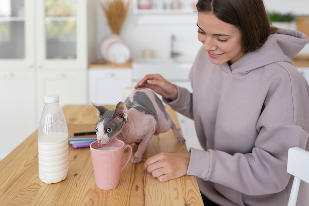 Gratis foto kattenlevensstijl en portretten