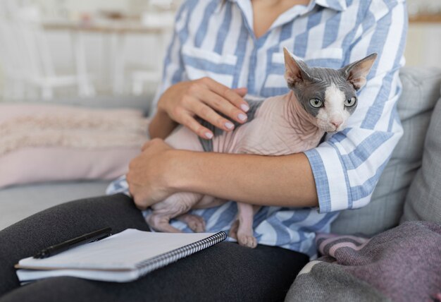 Kattenlevensstijl en portretten