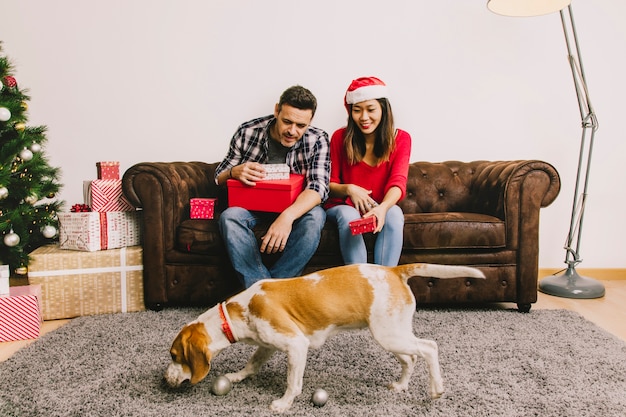 Gratis foto kerst aanwezig concept met paar en hond