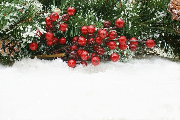 Gratis foto kerst bessen genesteld in de sneeuw