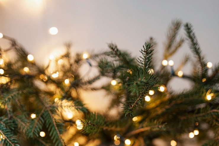 Gratis Foto kerstboom versierd met lichtjes
