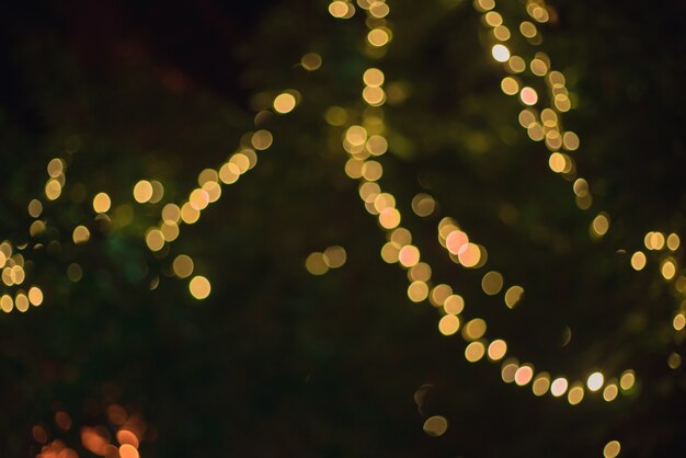Kerstboom