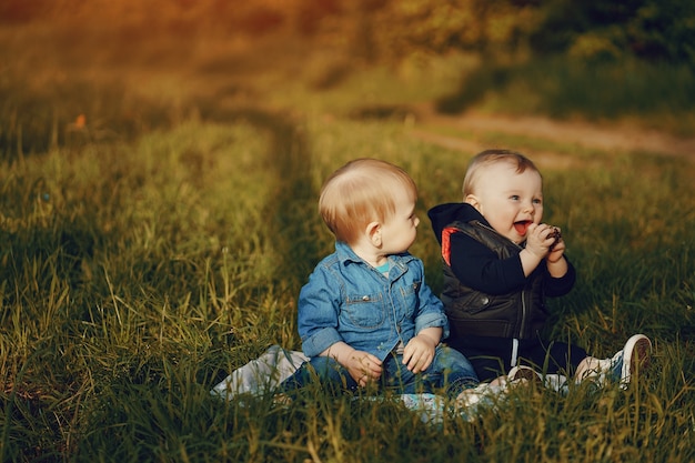 Kinderen in het gras