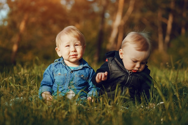 Kinderen in het gras