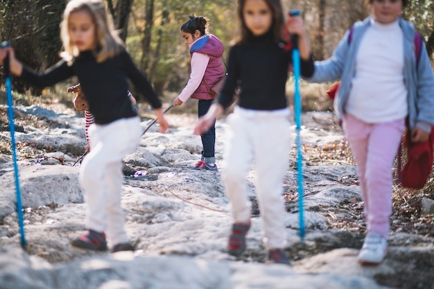 Kinderen wandelen in bossen