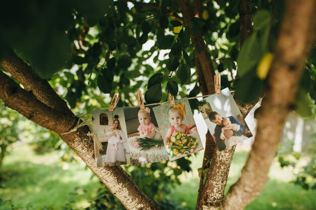 Kindfoto&#39;s op een boom