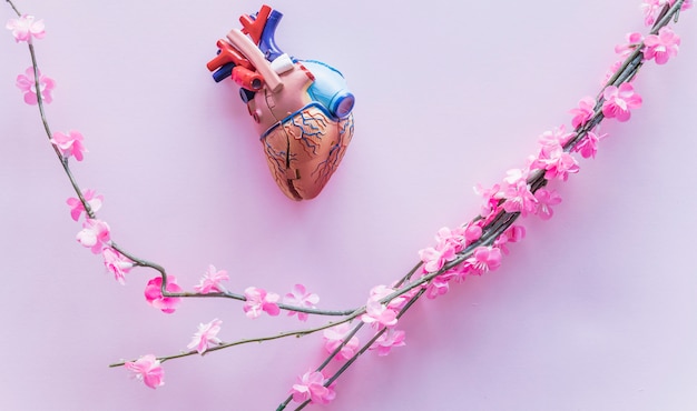 Klein plastic menselijk hart met bloemen op tafel