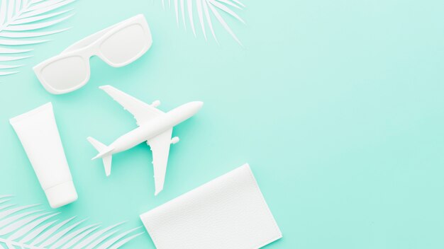 Klein stuk speelgoed vliegtuig met zonnebril en palmbladen