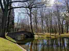 Gratis foto kleine brug over een rivier omgeven door groen in jelenia gora, polen