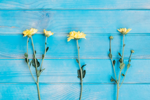 Kleine gele bloemen op blauwe tafel