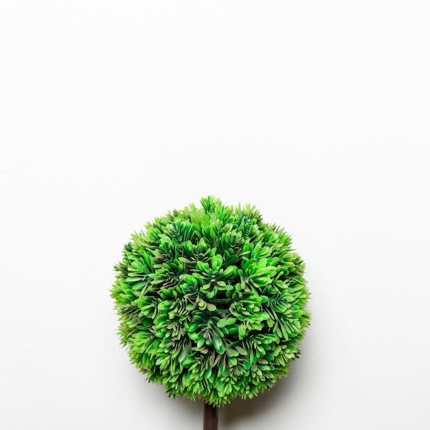 Kleine groene decoratieve boom