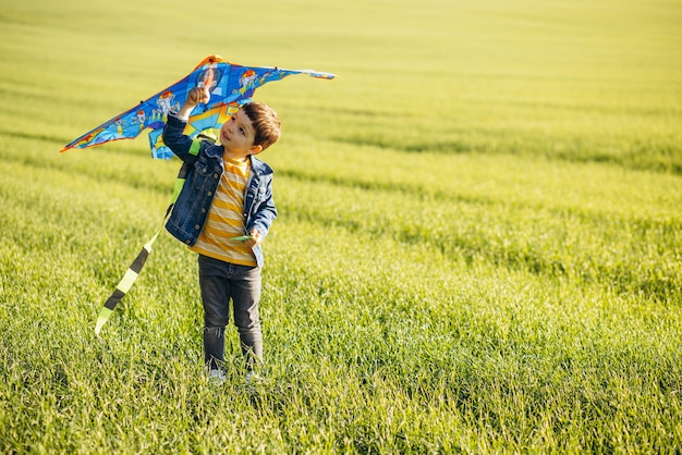 Kleine jongen speelt met vlieger op een groene weide