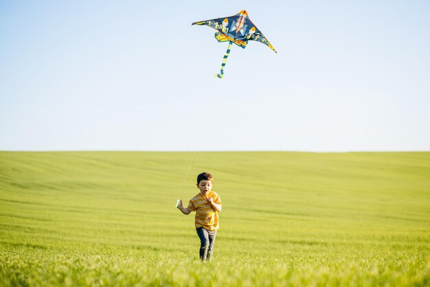 Kleine jongen speelt met vlieger op een groene weide