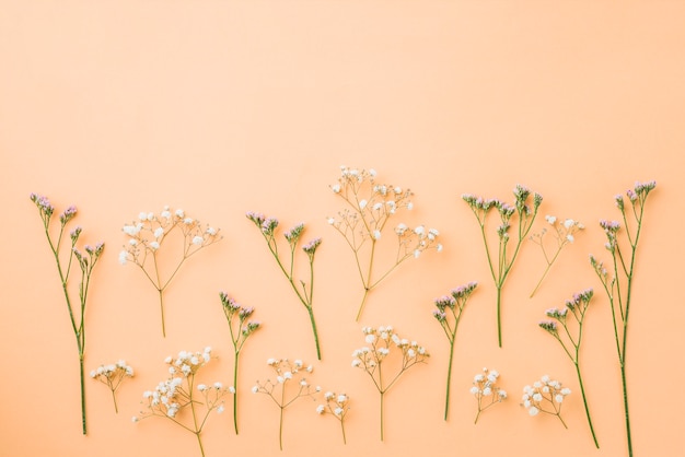 Gratis foto kleine lila en witte bloemen