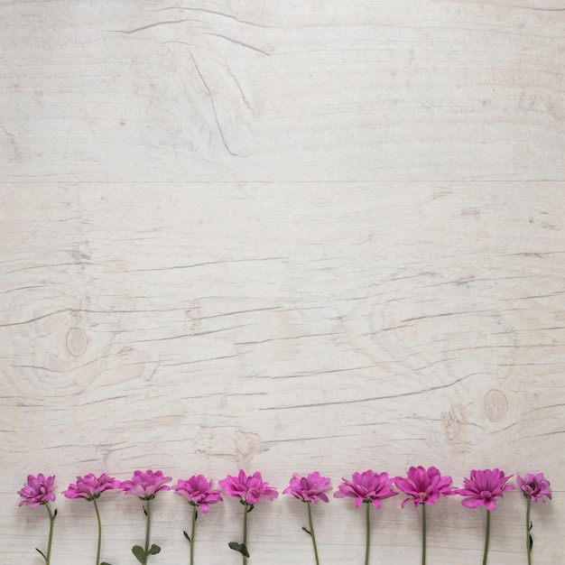 Kleine purpere bloemen verspreidden zich op witte lijst