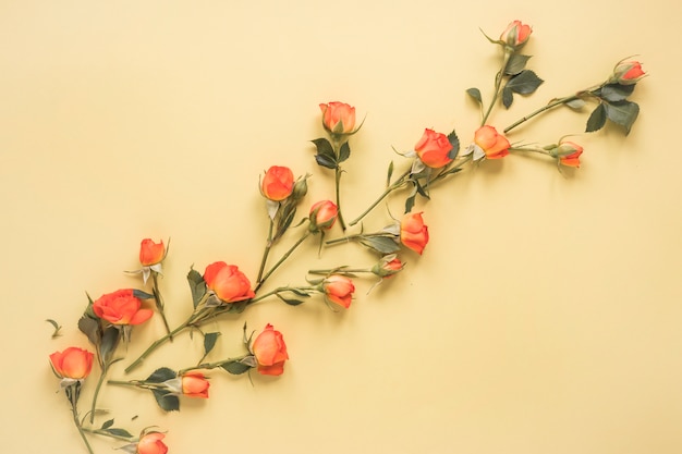 Gratis foto kleine roze bloemen verspreid over beige tafel