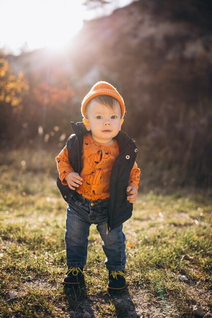 Kleine schattige jongen in een herfst park