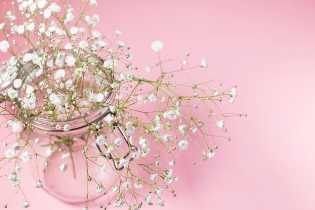 Gratis foto kleine witte bloemen in glazen pot