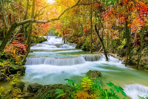 Kleurige majestueuze watervallen in het bos van het nationaal park in de herfst